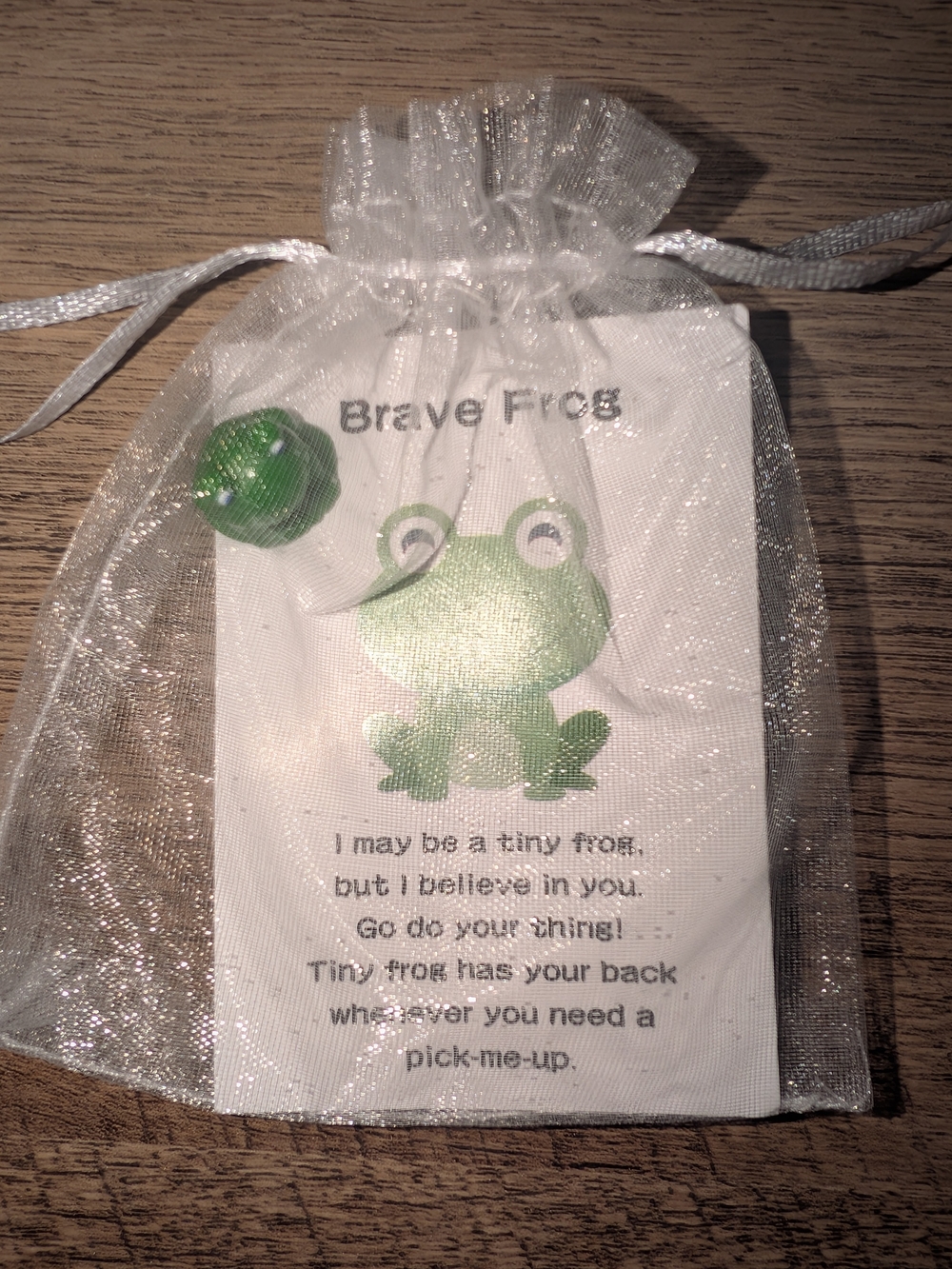 Brave Frog Inspirational Charm NWOT